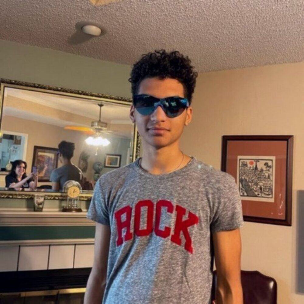 Zadig & Voltaire Flocked Rock Detail Tee Gray M - Picture 10 of 12